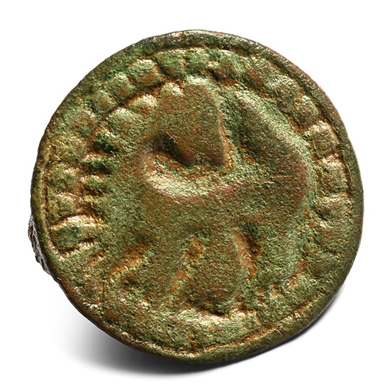 Anglo-Scandinavian Viking Bronze Disc Brooch with Beast Facing Back