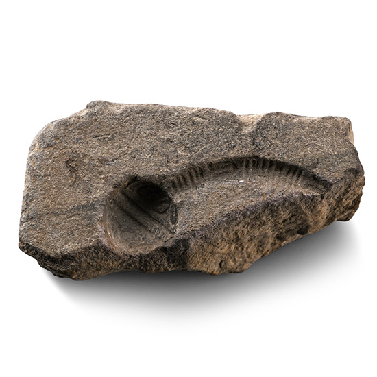 Egyptian Steatite Mould Fragment