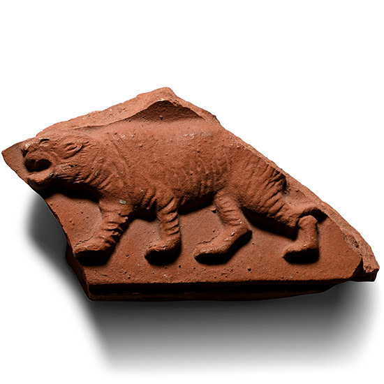 Roman Terracotta Sigillata Fragment with Tiger