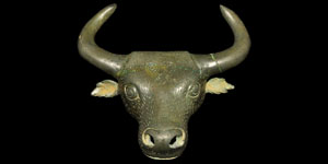 Bulls Head Mount