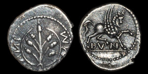 Celtic Iron Age Coins - Cantiaci - Amminus - Plant Silver Unit