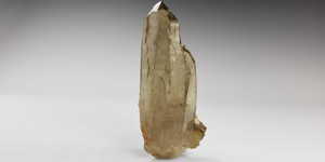 Natural History - 2,500 Carats of Gem Quality Smoky Quartz