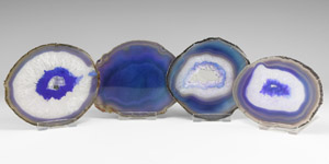 Natural History - Polished Agate Slice Group