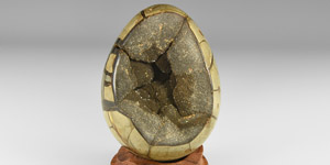 Natural History - Polished Large Septarian Egg with Exposed Crystalline Interior