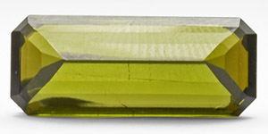 Natural History - 9.75 Carat Facetted Green Tourmaline Gemstone