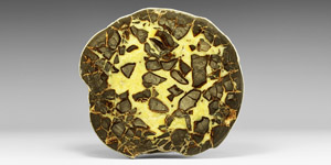Natural History - Large Polished Septarian Nodule Display Piece