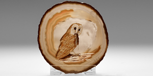 Natural History - David Fish Barn Owl on Polished Agate