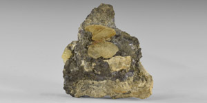 Natural History - English Matlockite Crystal Mineral Specimen