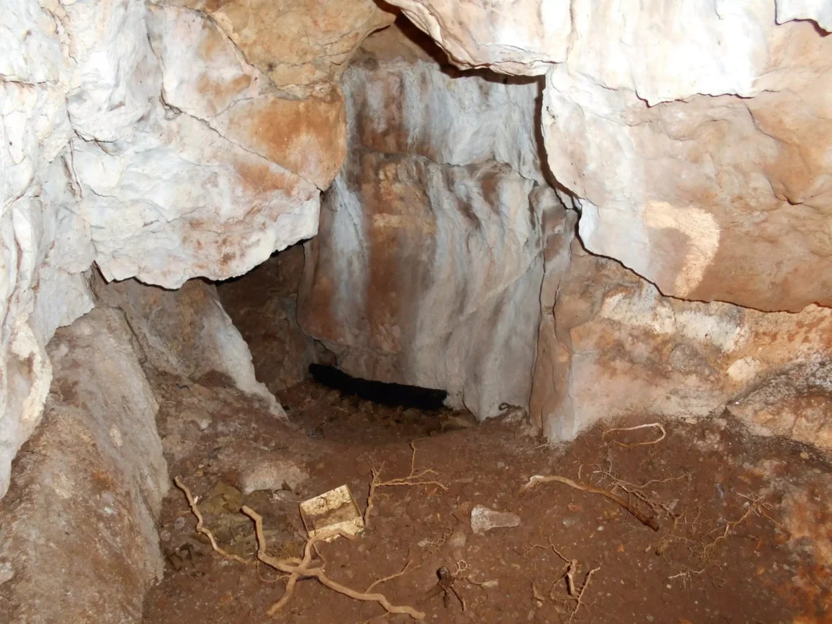 The excavated interior of Heaning Wood Bone Cave in Cumbria