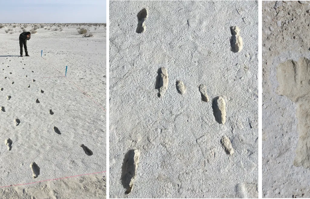 footprints