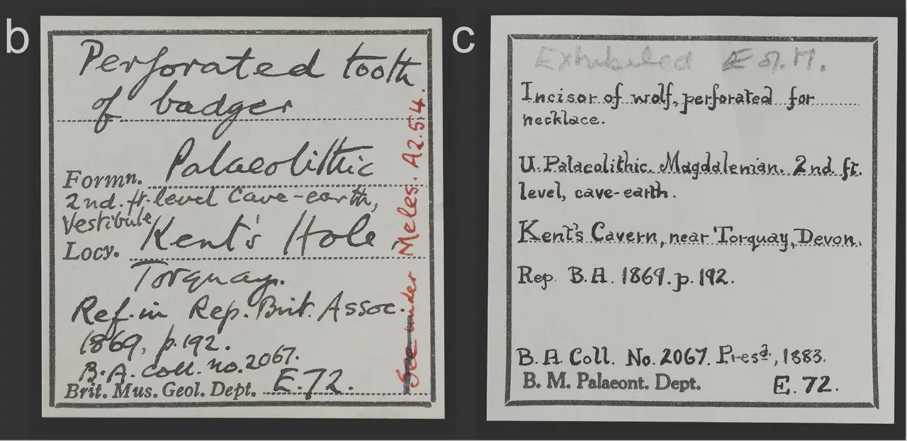 Old Labels