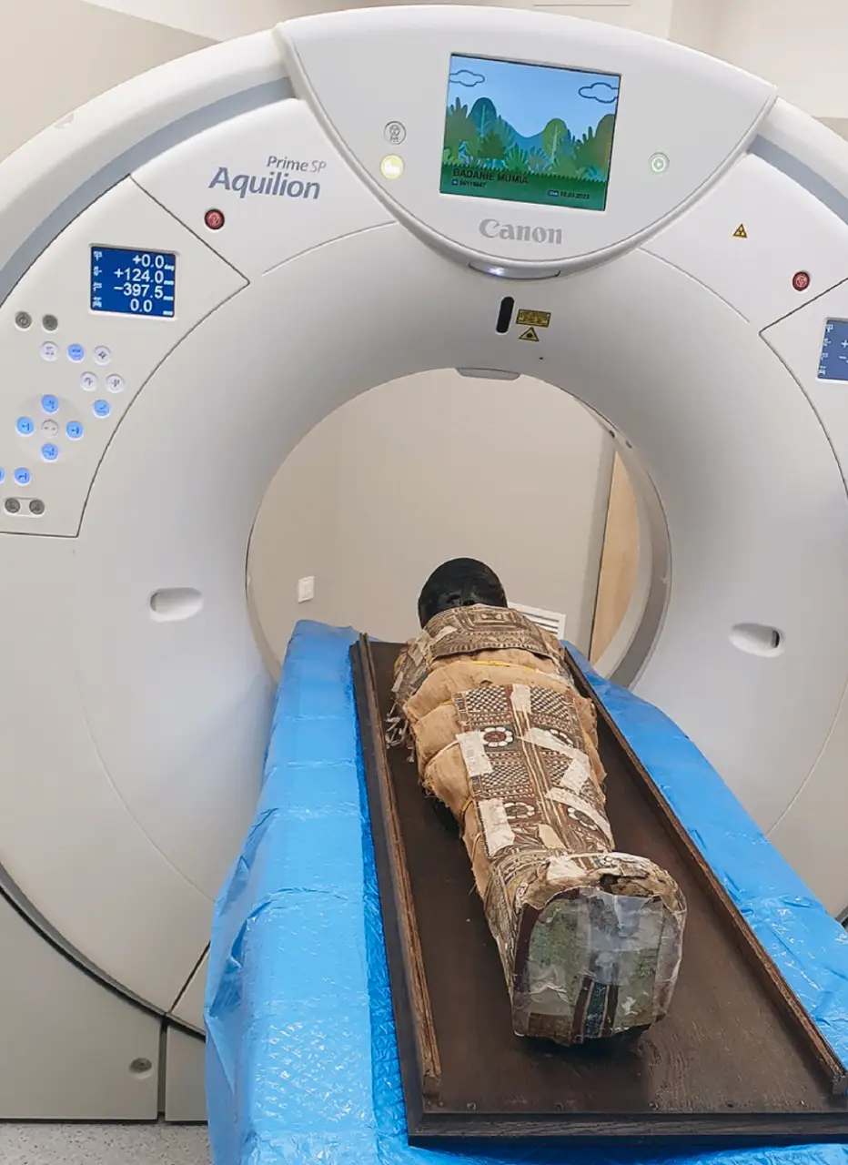 mummy_mri