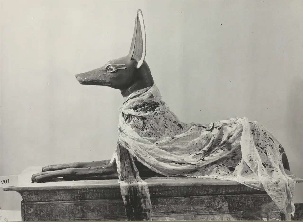 Anubis from Tutankhamun's tomb