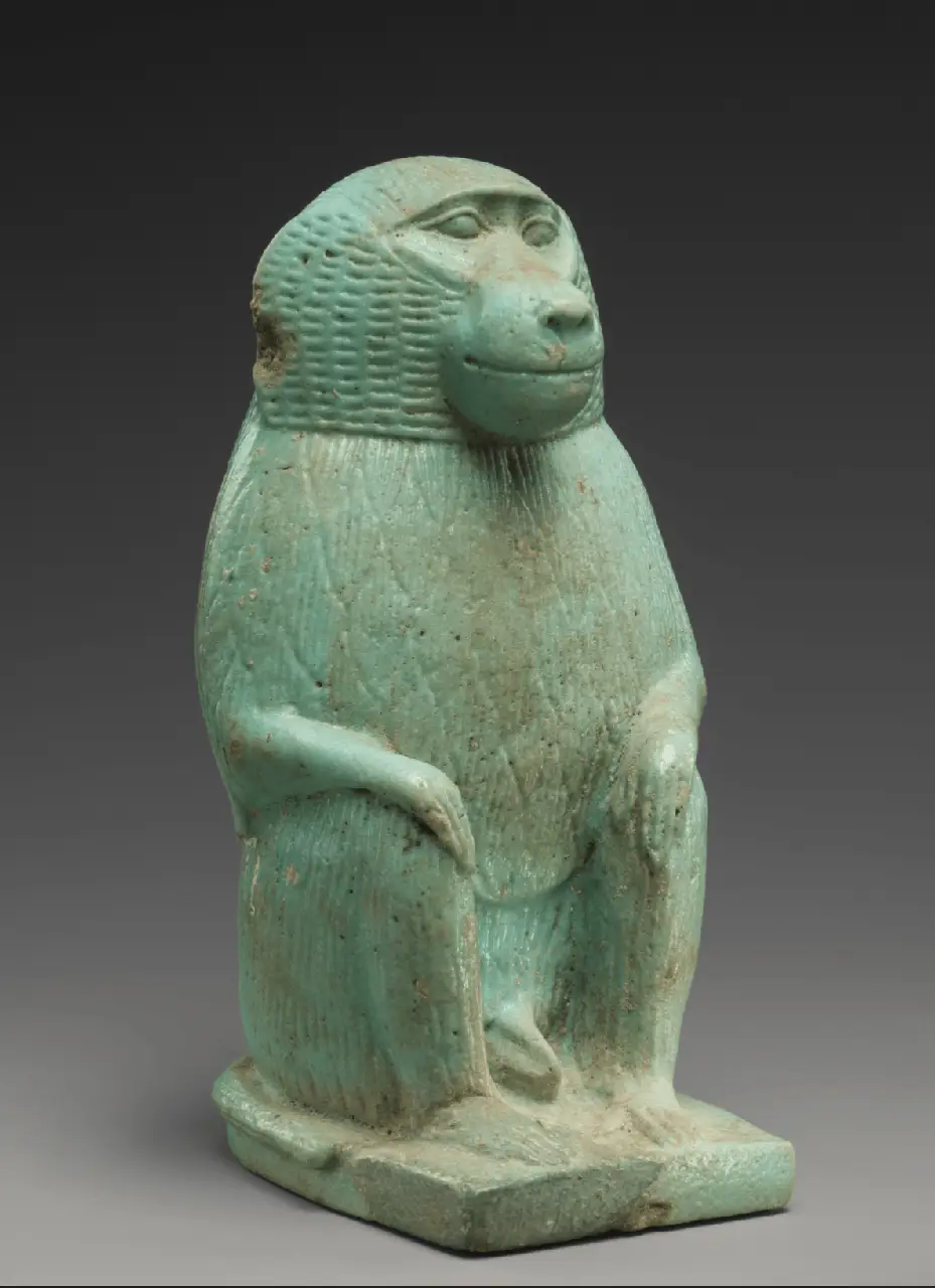 baboon