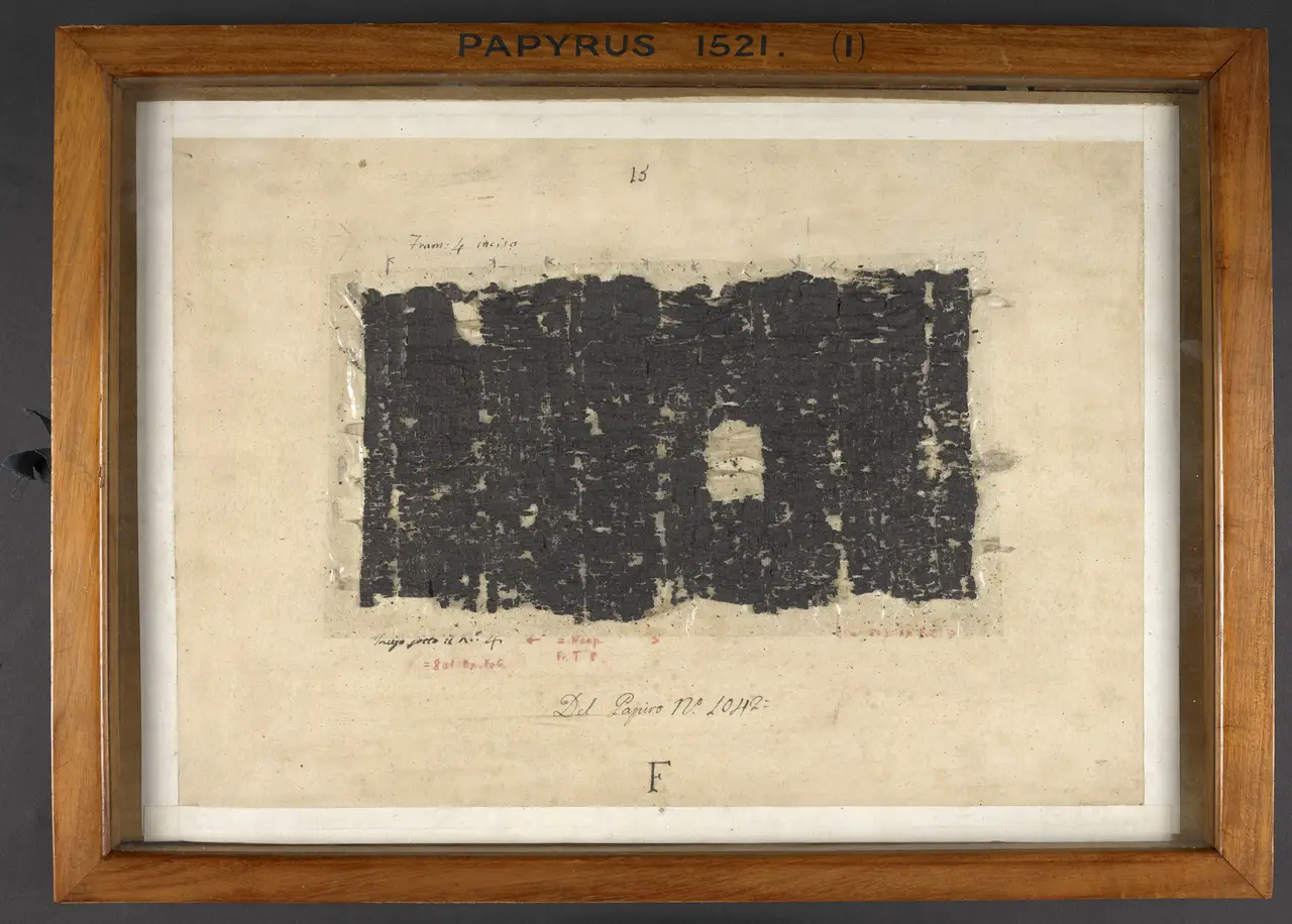 A carbonized Herculaneum papyrus, blackened and brittle, in the British Library