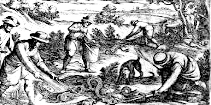 Majolica drugs jar used in the 17th century to store theriaca. Public domain image.