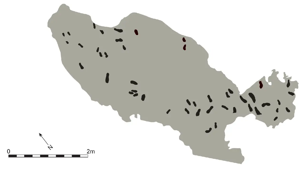 Plan of the Happisburgh footprint surface with the human footprints marked