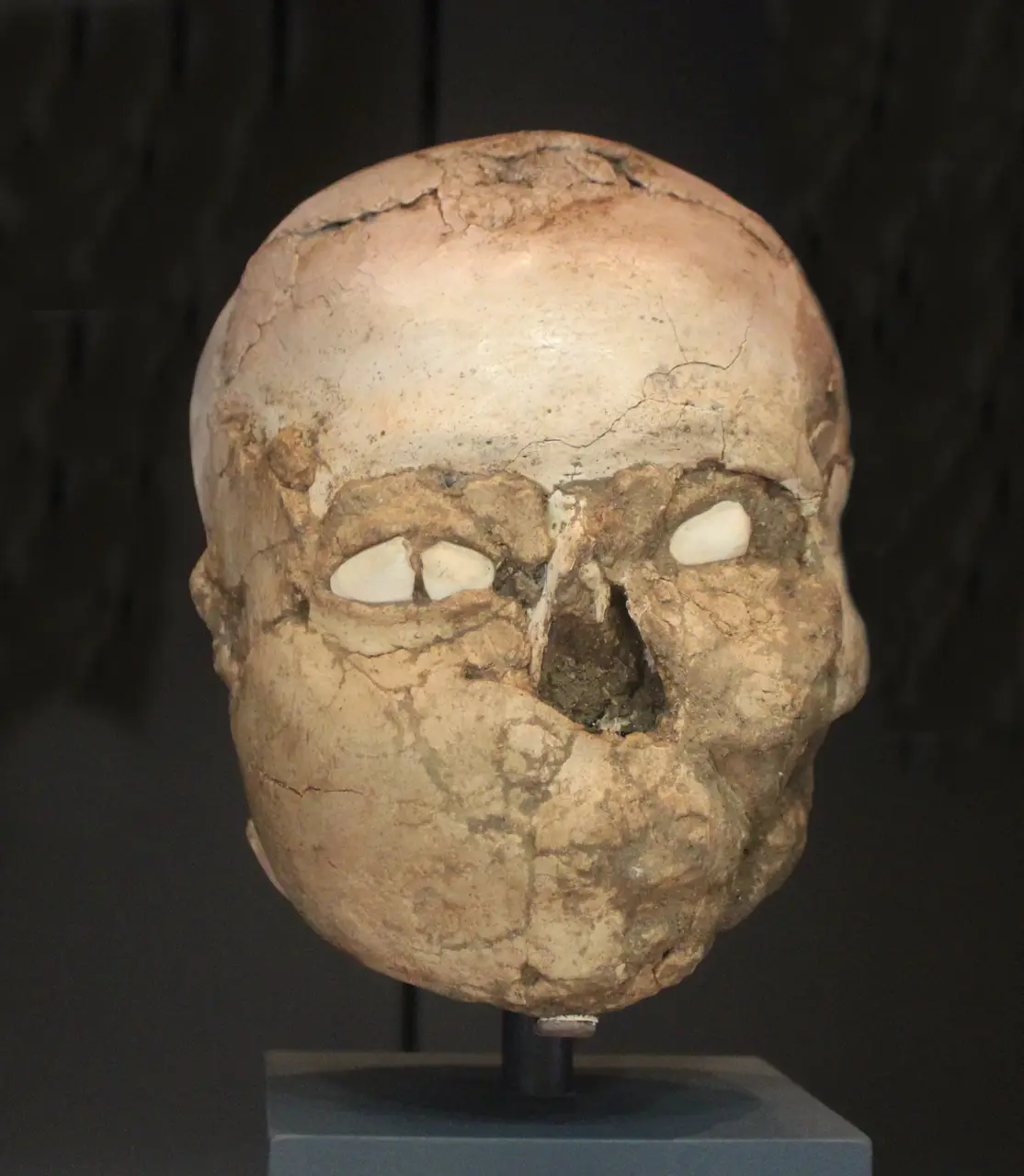Neolithic plastered human skull from Jericho, with shell set in the eye-sockets, in the British Museum