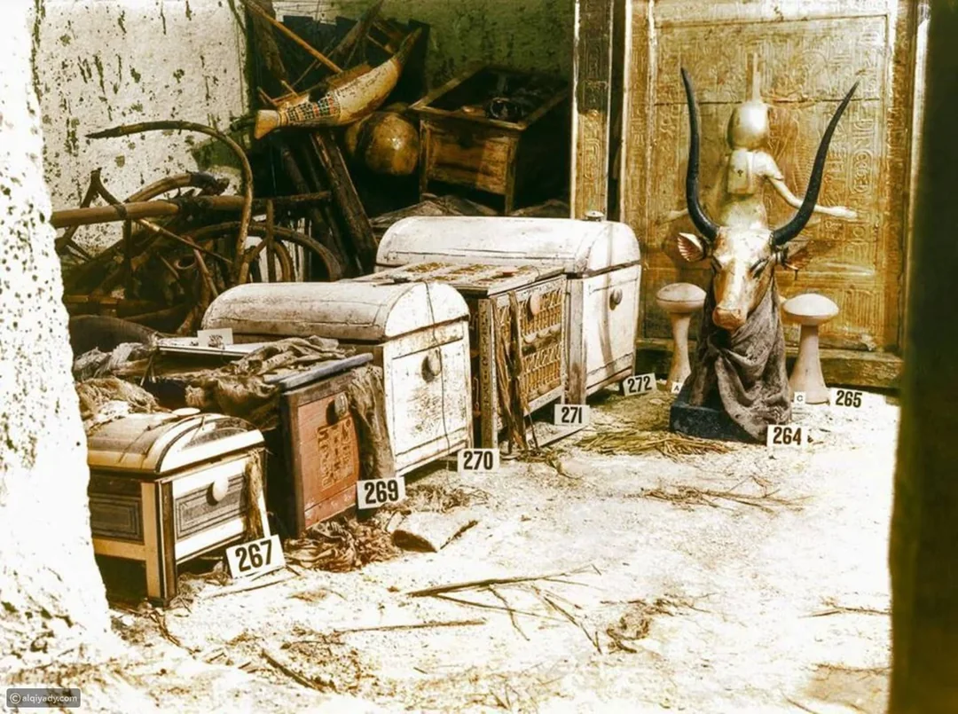 photo4
