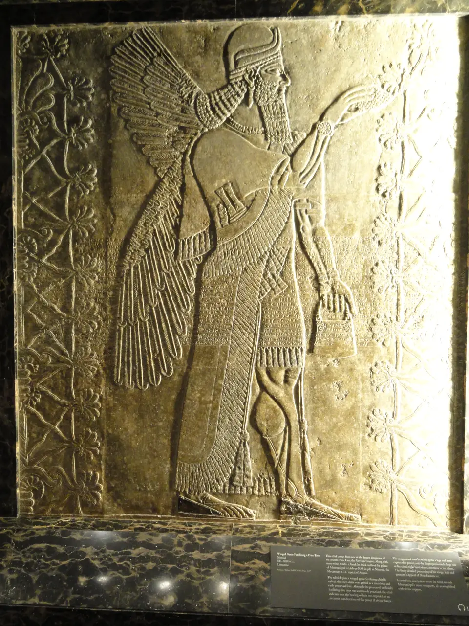 A winged apkallu spirit holding a bucket and cone, from the Northwest Palace at Nimrud