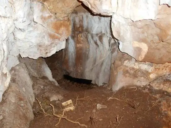 An 11,000-Year-Old Girl, Identified by DNA, Is Northern Britain's Oldest Known Human