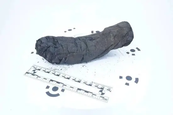Two Herculaneum Scrolls, Read at Last, Take Opposite Sides on Whether the Gods Run the World