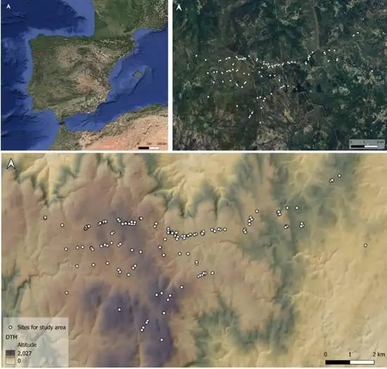 Why Prehistoric People Built Nearly 1,000 Burial Mounds on a Single Mountain Range