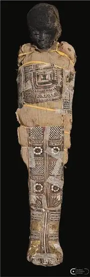 CT Scans Reveal the Secrets of a Forgotten Egyptian Child Mummy in Poland