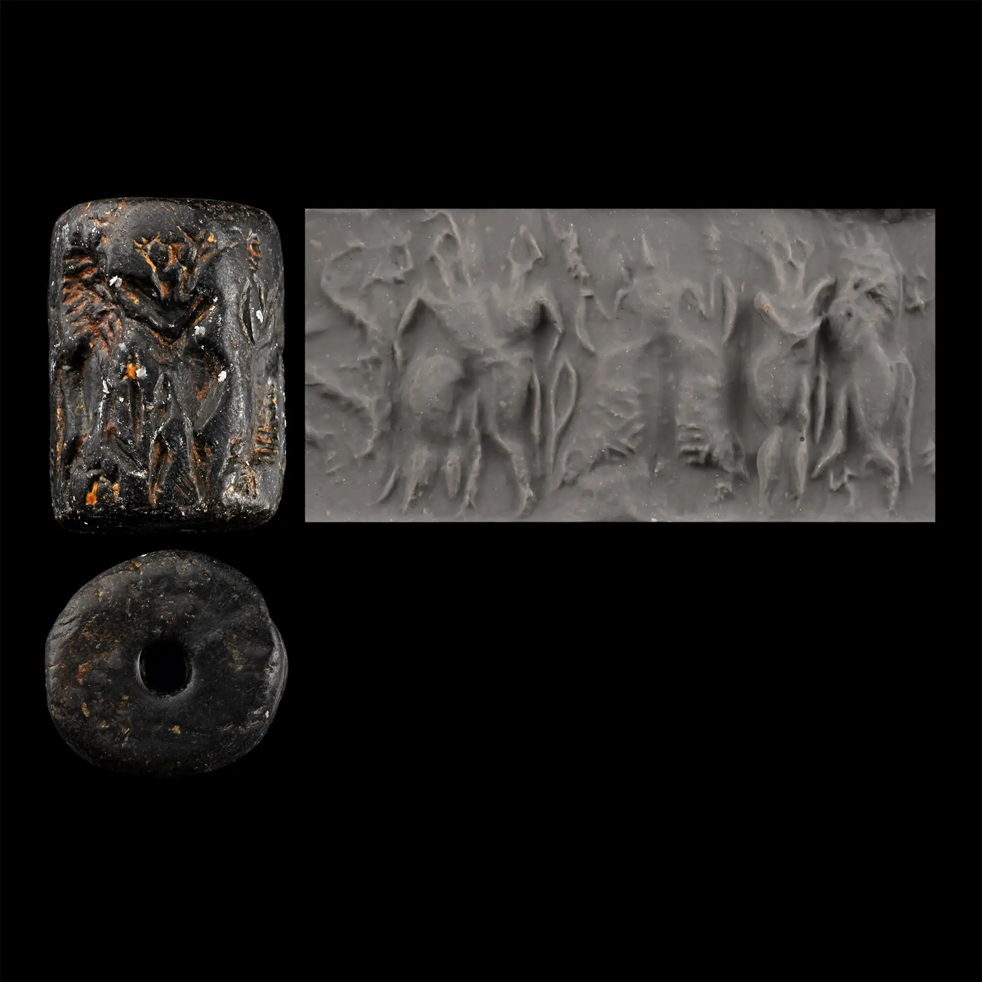 TimeLine Seal1