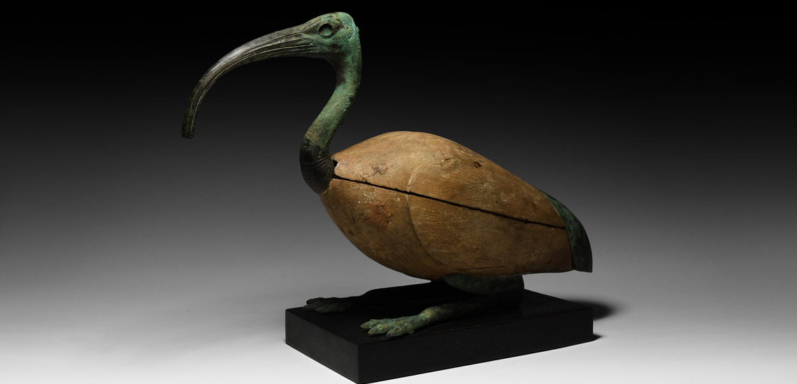 Resting Sacred Ibis £25,000 - £35,000