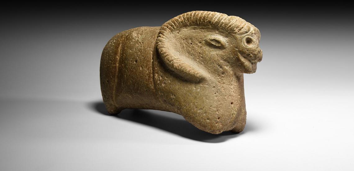Western Asiatic Mouflon £15,000 - £20,000
