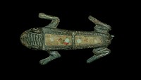 Roman - Enamelled Frog Brooch