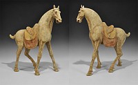 Chinese Superb Striding Horse