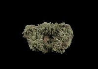 Large Green Gypsum Crystal Needle Mineral Specimen