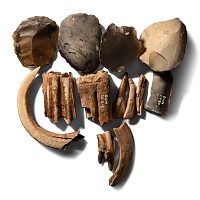 Collection of Stone Age Tools with Animal Teeth