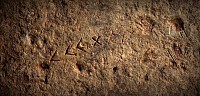 'The Witherley' Roman Lead Pig Ingot