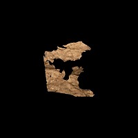 Bactrian Manuscript Fragment of a Letter