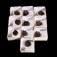 Chiastolite Polished Mineral Specimen Collection