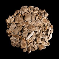 Natural History - Gypsum Mineral Blade Group