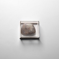 Natural History - Bivalve Shell Preserved in Opal