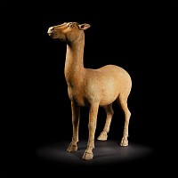 Large Chinese Tang Figure of a Fawn