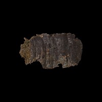 Aramaic Lead Magical Text Scroll Fragment