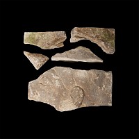Egyptian Limestone Relief Fragment Group