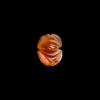 Egyptian Carnelian Scarab