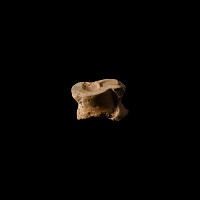 Late Roman Bone Gaming Piece