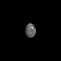 Natural History - Moss Agate Bead