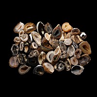 Natural History - Medium Agate Crystal Geode Half Group