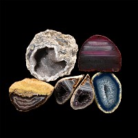 Natural History - Cut and Polished Agate Crystal Geode Section Group