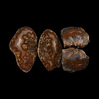 Natural History - Cut and Polished Agate Crystal Geode Section Group