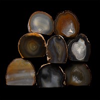 Natural History - Cut and Polished Agate Crystal Geode Section Group